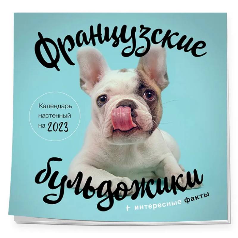 Французские бульдожики. Календарь настенный на 2023 год
