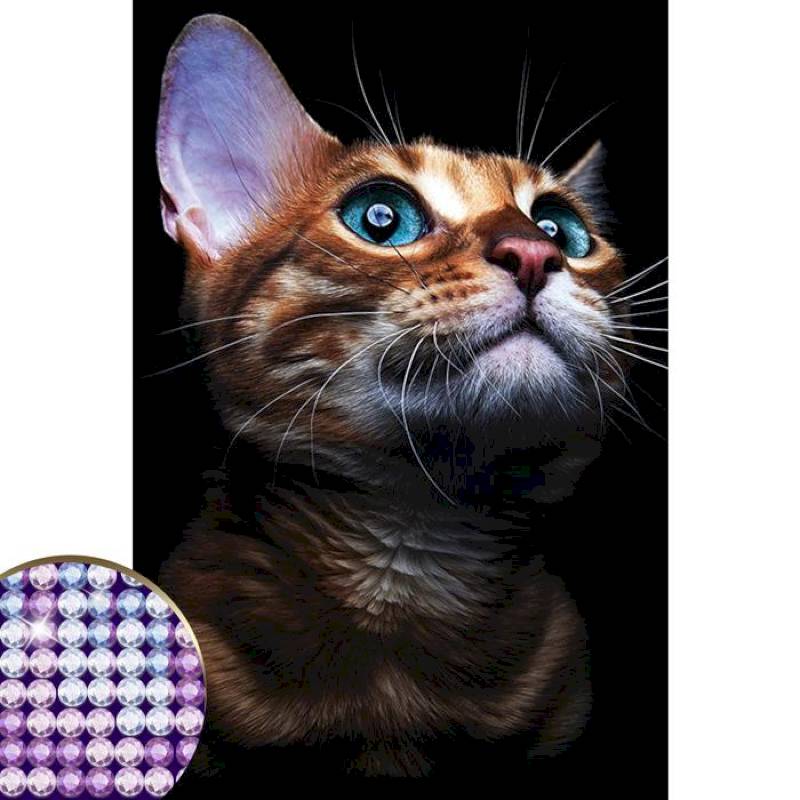 Алмазная вышивка с частичным заполнением «Взгляд кошки» 20 x 30 см на холсте