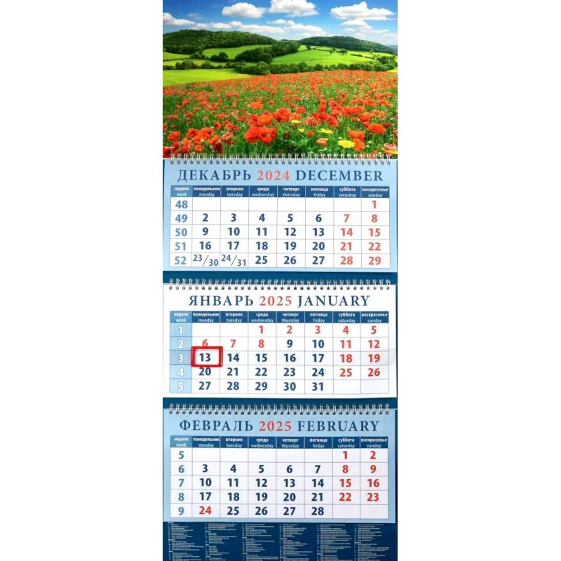 Календарь квартальный на 2025 год Пейзаж с маками