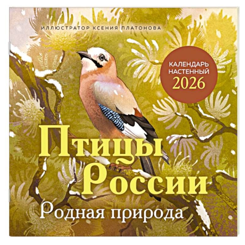 Птицы России. Родная природа. Календарь настенный на 2026 год
