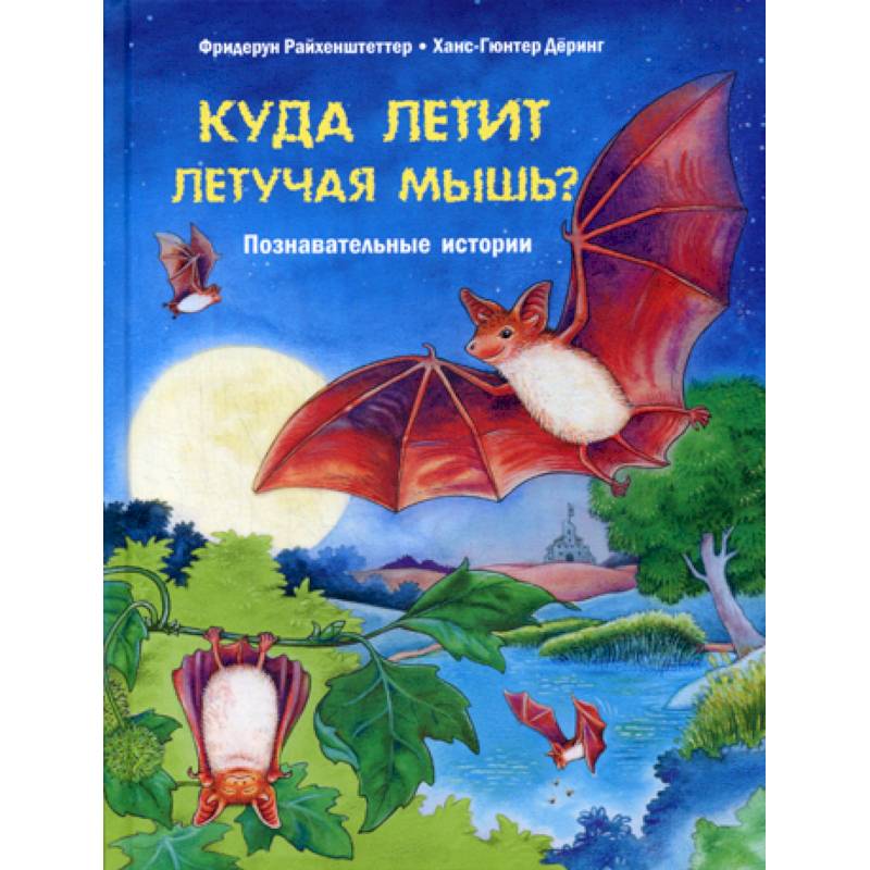 Куда летит летучая мышь? Куда летит летучая мышь?