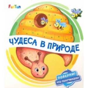 Чудеса в природе