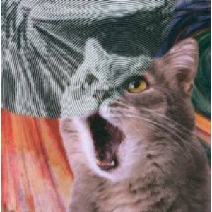 Мир котиков. Спиральная раскраска-антистресс