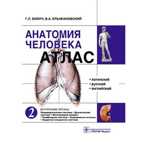 Анатомия человека. Атлас в 3-х томах. Том 2. Внутренние органы