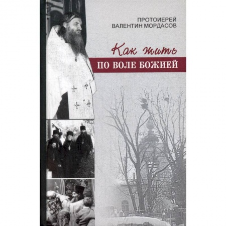 Духовная литература, книга Как жить по воле Божией купить по скидке