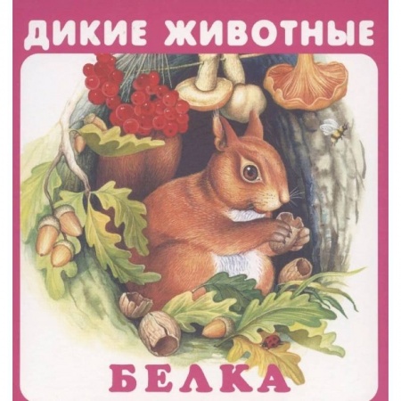 Знакомство с миром, развитие малыша, книга Дикие животные купить по скидке