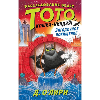 Загадочное похищение Загадочное похищение