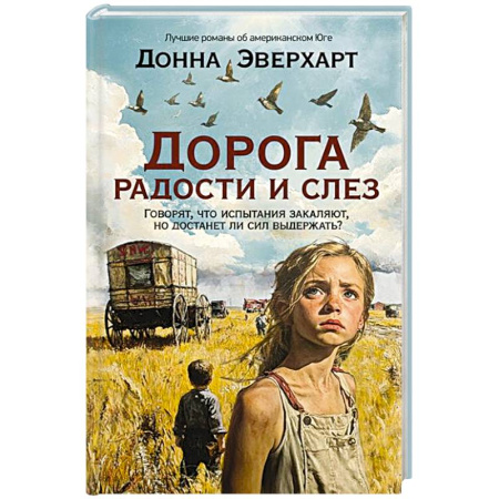 Зарубежная классика, книга Дорога радости и слез купить по скидке