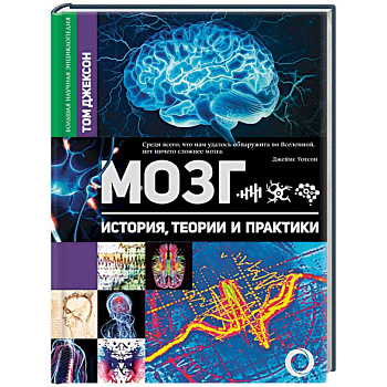 Мозг. История, теории и практики