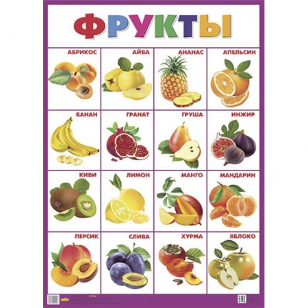Окружающий мир, книга Фрукты. Плакат купить по скидке