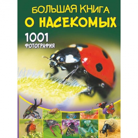 Животный и растительный мир, книга Большая книга о насекомых. 1001 фотография купить по скидке