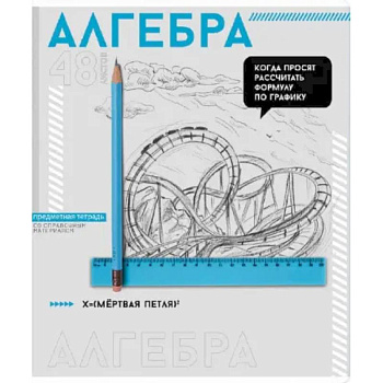 Тетрадь предметная Яркие детали. Алгебра, 48 листов, клетка
