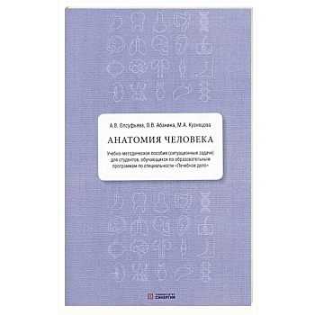 Анатомия человека. Учебно-методическое пособие ( ситуационные задачи ) Анатомия человека. Учебно-методическое пособие ( ситуационные задачи )