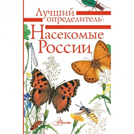 Познавательная литература, книга Насекомые России купить по скидке