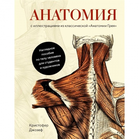 Естествознание, книга Анатомия:с иллюстрациями из классической 'Анатомии Грея' купить по скидке