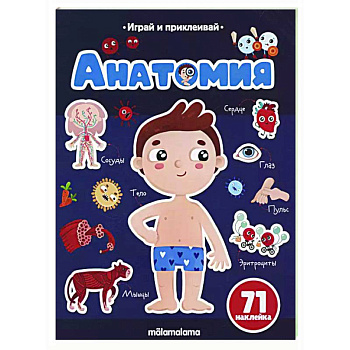 Анатомия. Играй и приклеивай