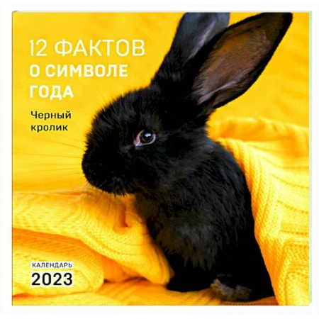 12 фактов о символе года. Черный кролик. Календарь на 2023 год