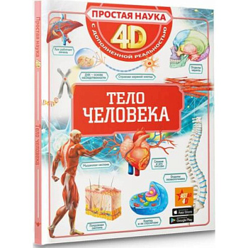 Тело человека Тело человека