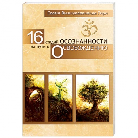 Другие духовные практики, книга 16 стадий осознанности на пути к освобождению купить по скидке