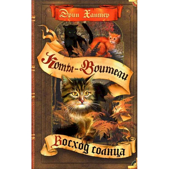 Коты-воители. Восход солнца