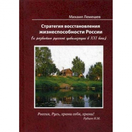 Публицистика, книга Стратегия восстановления жизнеспособности России. К развитию русской цивилизации в ХХI веке купить по скидке