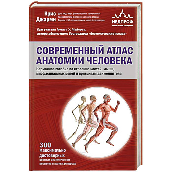 Современный атлас анатомии человека. Карманное пособие по строению костей, мышц, миофасциальных цепей и принципам движения тела Современный атлас анатомии человека. Карманное пособие по строению костей, мышц, миофасциальных цепей и принципам движения тела