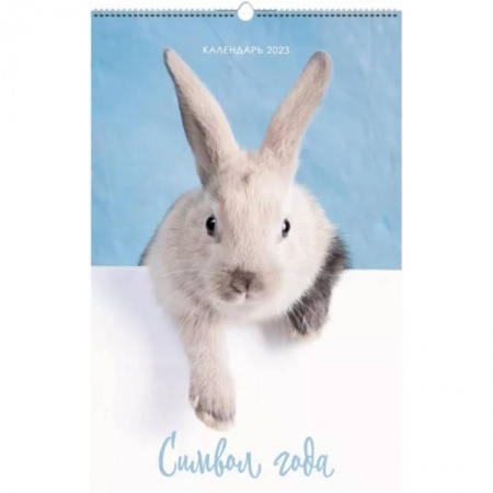 Календарь настенный перекидной на 2023 год. Символ года 5