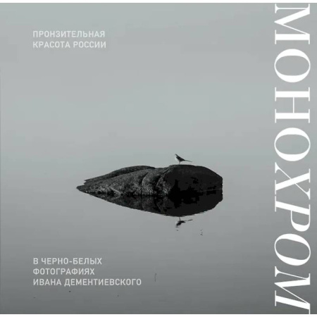 Другие регионы, книга Монохром. Пронзительная красота России в черно-белых фотографиях Ивана Дементиевского купить по скидке