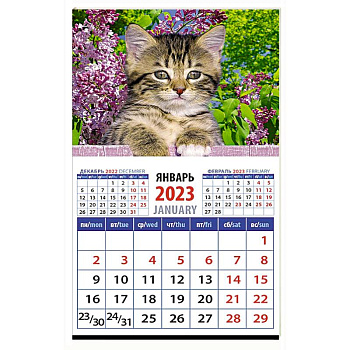 Календарь Год кота. Высоко сижу на 2023 год