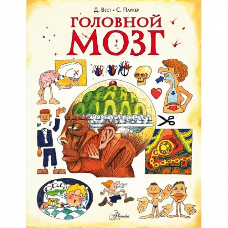 Познавательная литература, книга Головной мозг купить по скидке