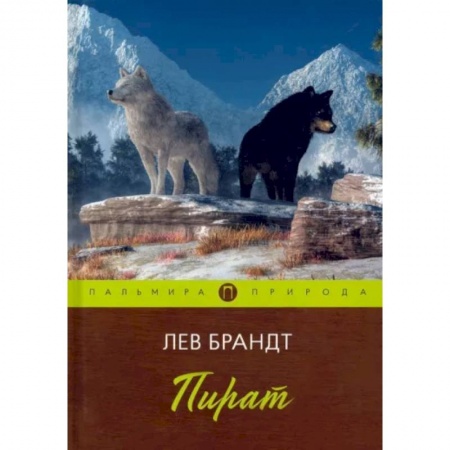 Русская классика, книга Пират. Повести и рассказы купить по скидке