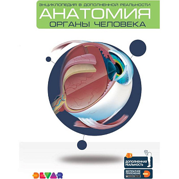Анатомия: Органы человека. Энциклопедия в дополненной реальности