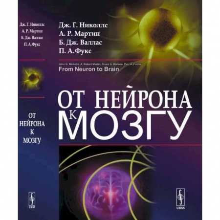 Антропология, книга От нейрона к мозгу купить по скидке