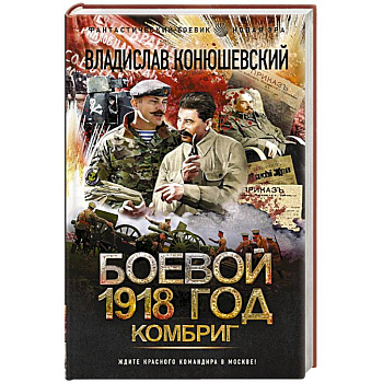 Боевой 1918 год. Комбриг