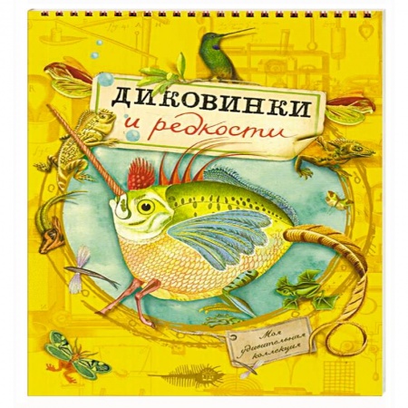 Другое, книга Моя удивительная коллекция. Диковинки и редкости купить по скидке