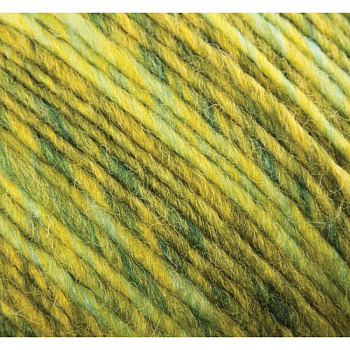 Ровница 'Мультиколоровая' Цвет (1090 М). 5x200 г